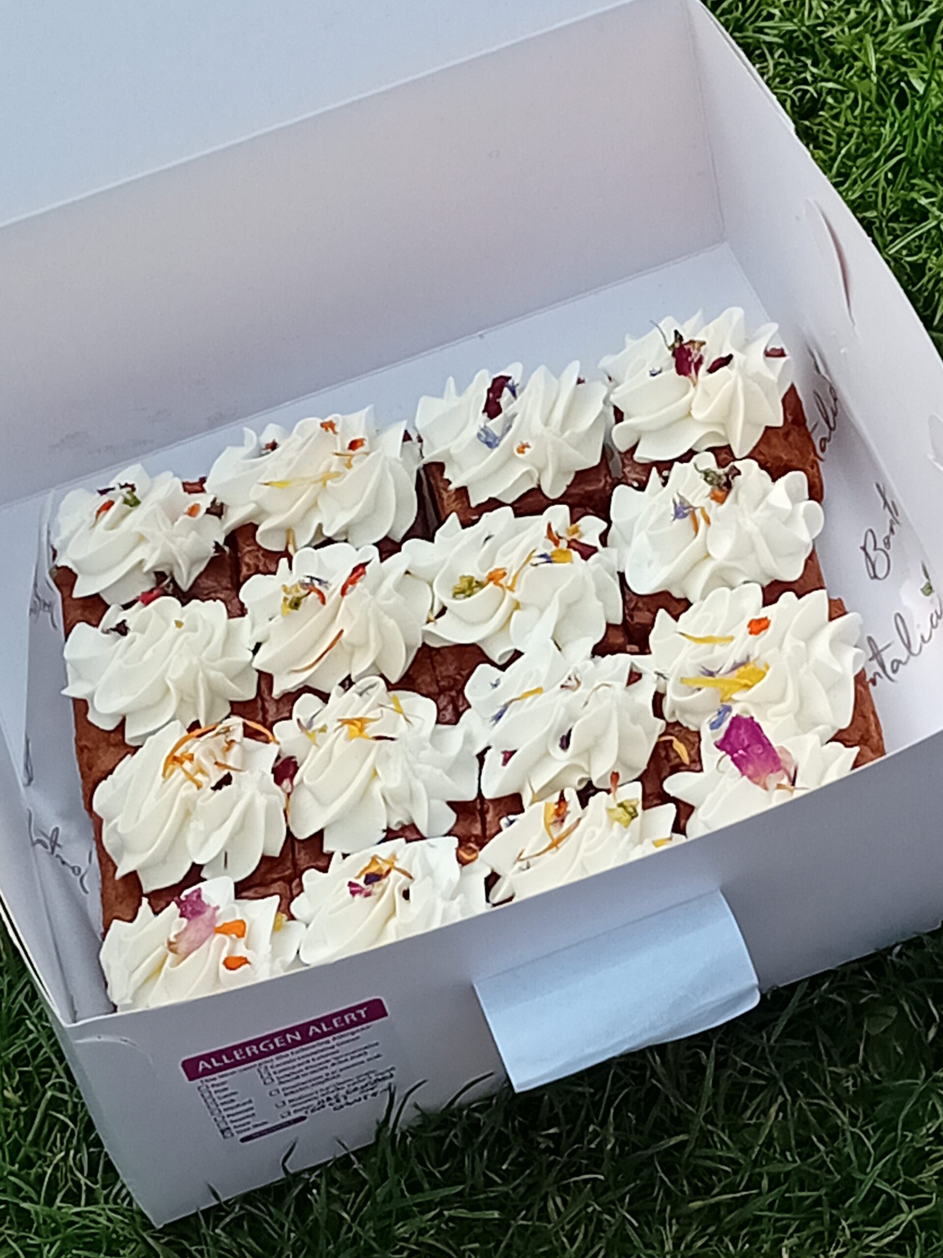 Cakes Summer Picnic Aug 24